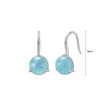 Load image into Gallery viewer, 925 Sterling Silver Fashion Elegant Geometric Round Earrings